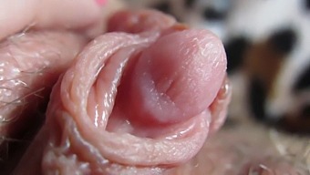 Intense Close-Up Of My Engorged Clitoris